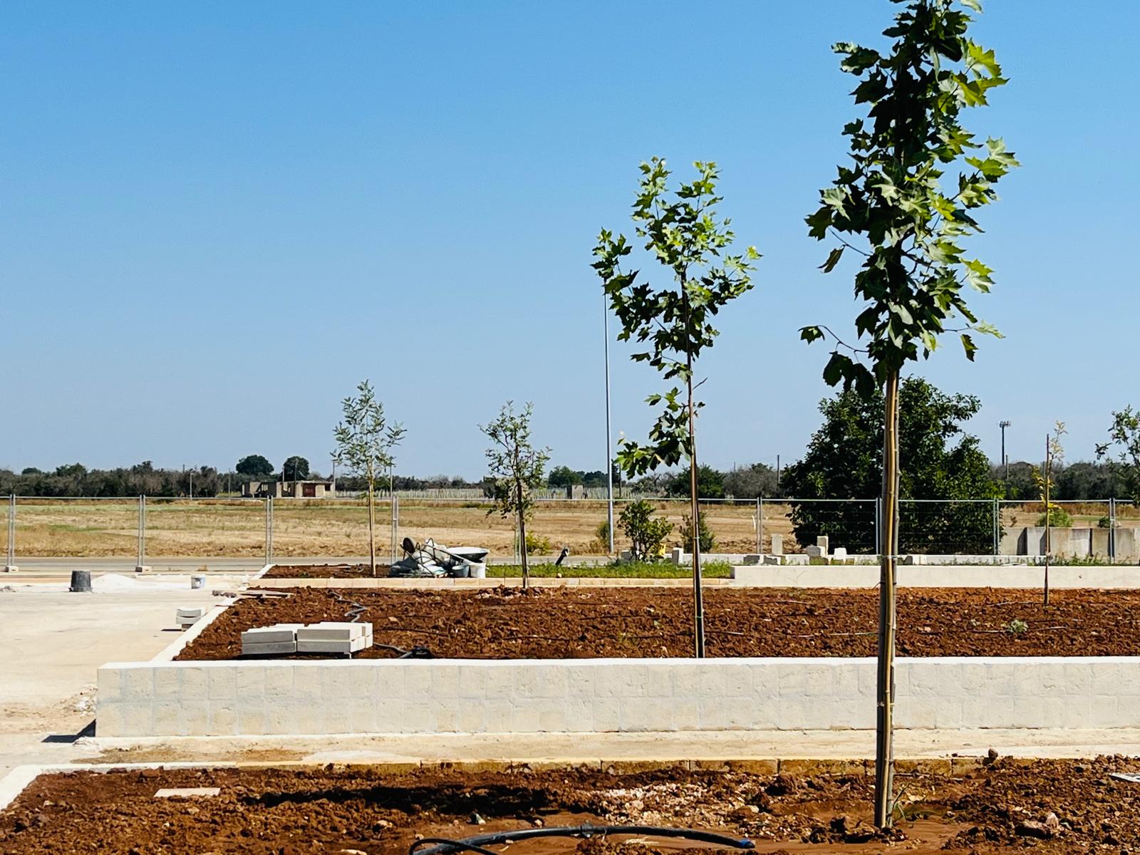 Terra pioniera- Miggiano1