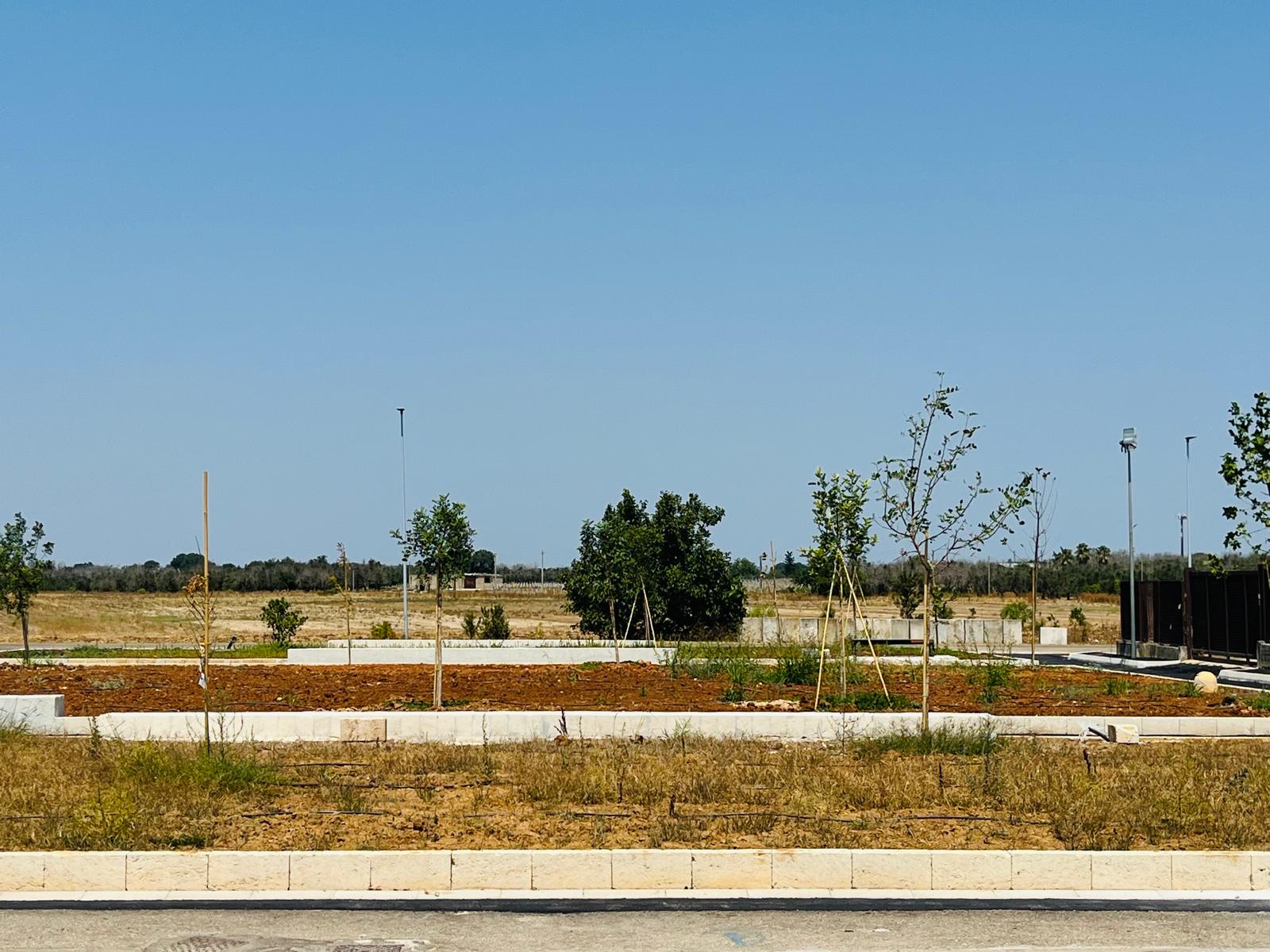 Terra pioniera- Miggiano2