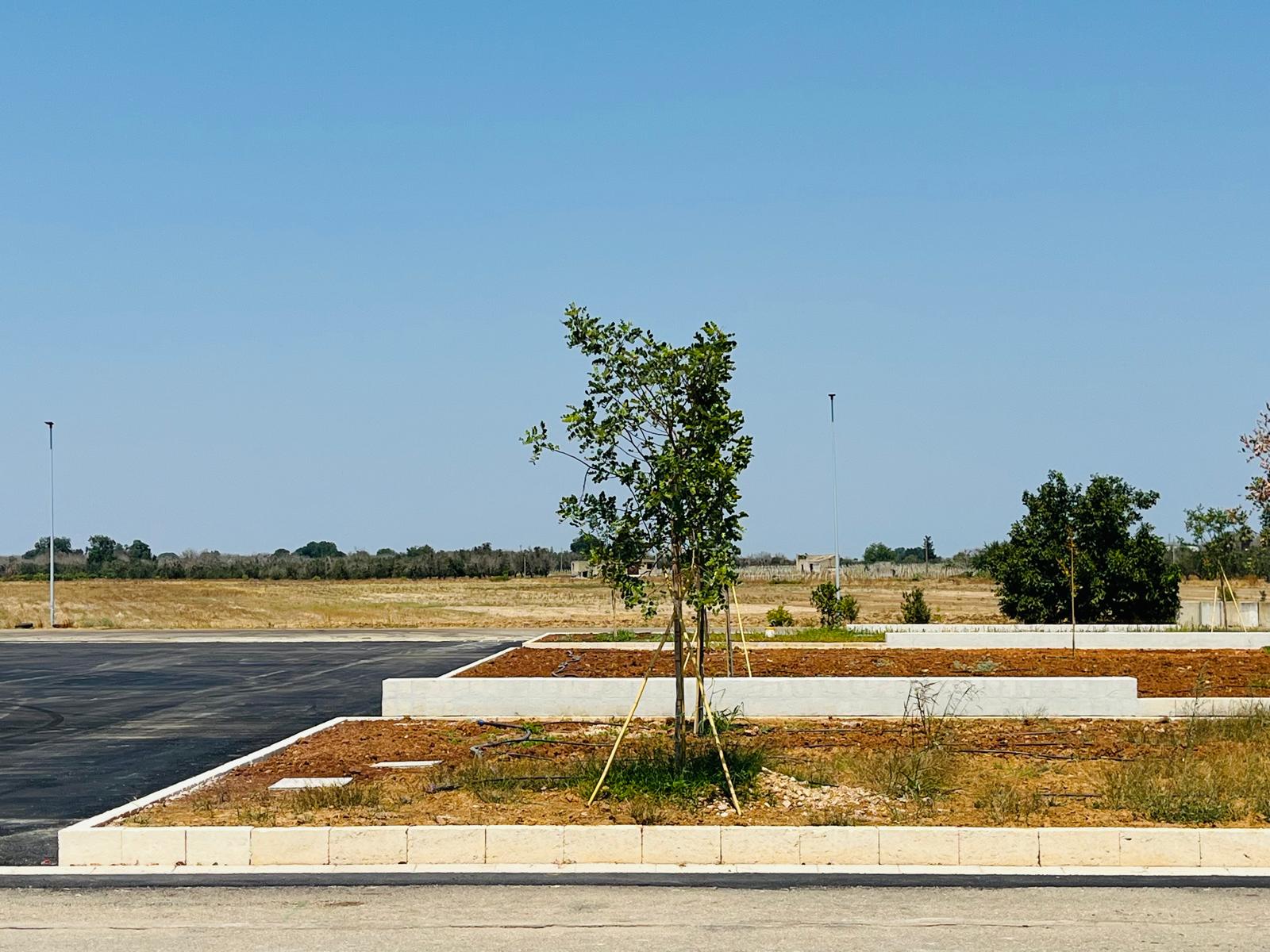 Terra pioniera- Miggiano3