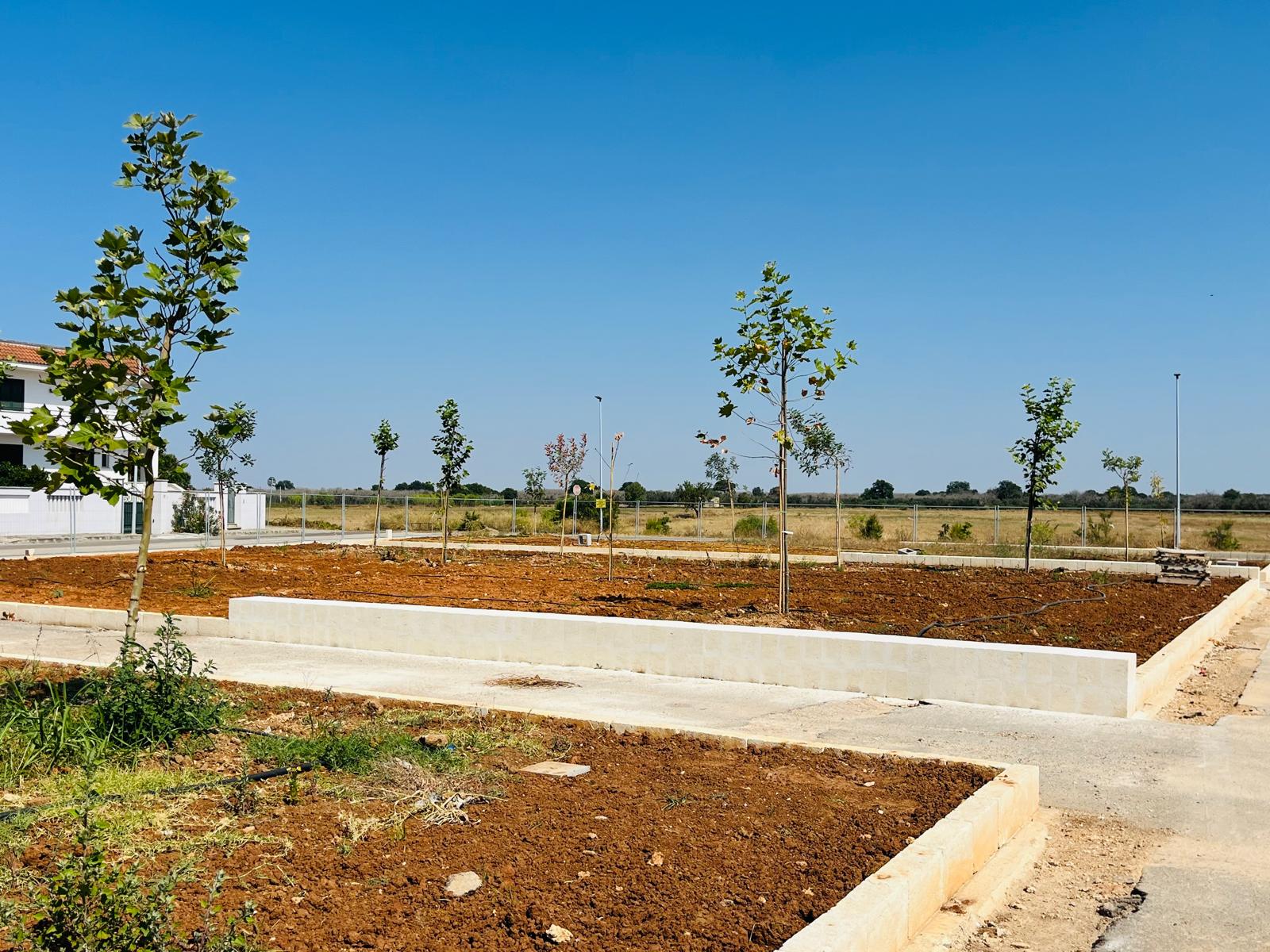 Terra pioniera- Miggiano4