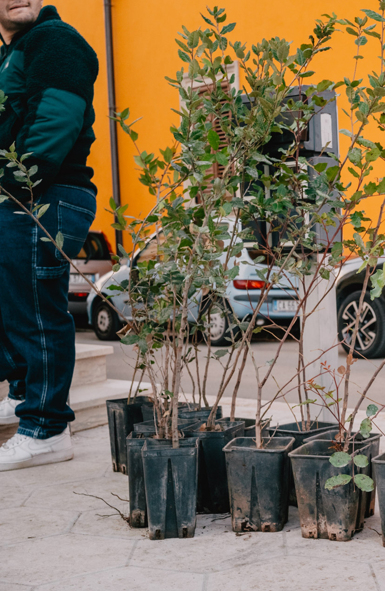 Terra Pioniera _ presentazione Montesano-