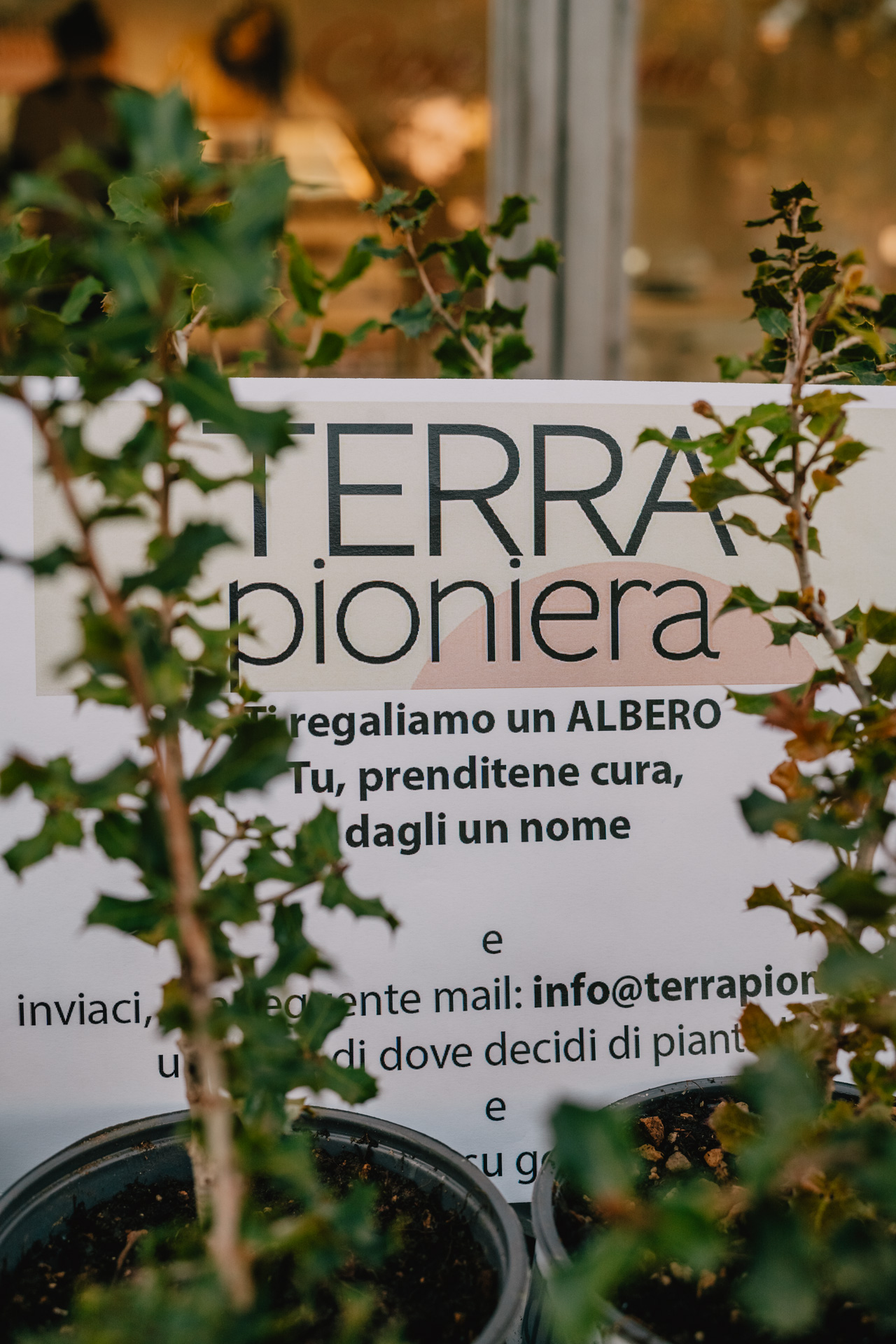 Terra Pioniera _ presentazione Specchia 1