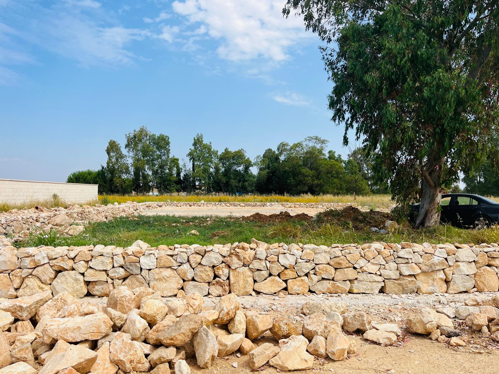 terra pioniera-montesano