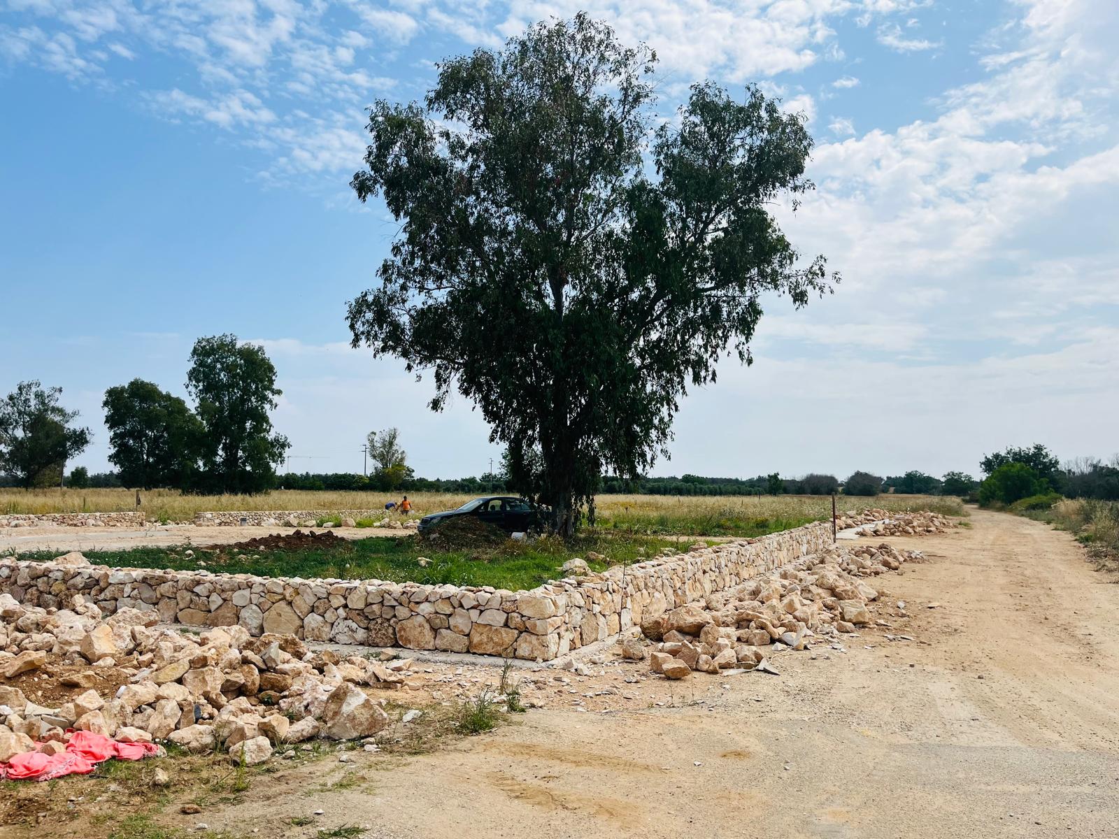 terra pioniera-montesano1