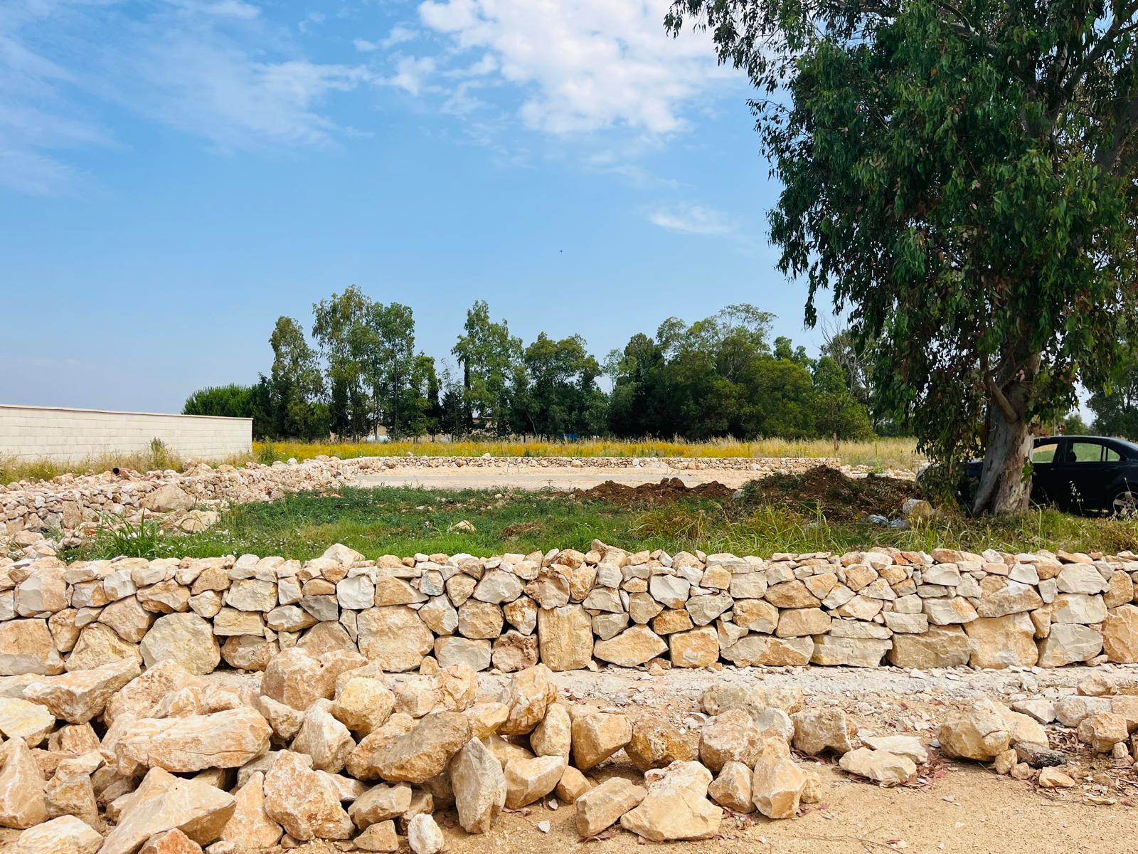 terra pioniera-montesano6