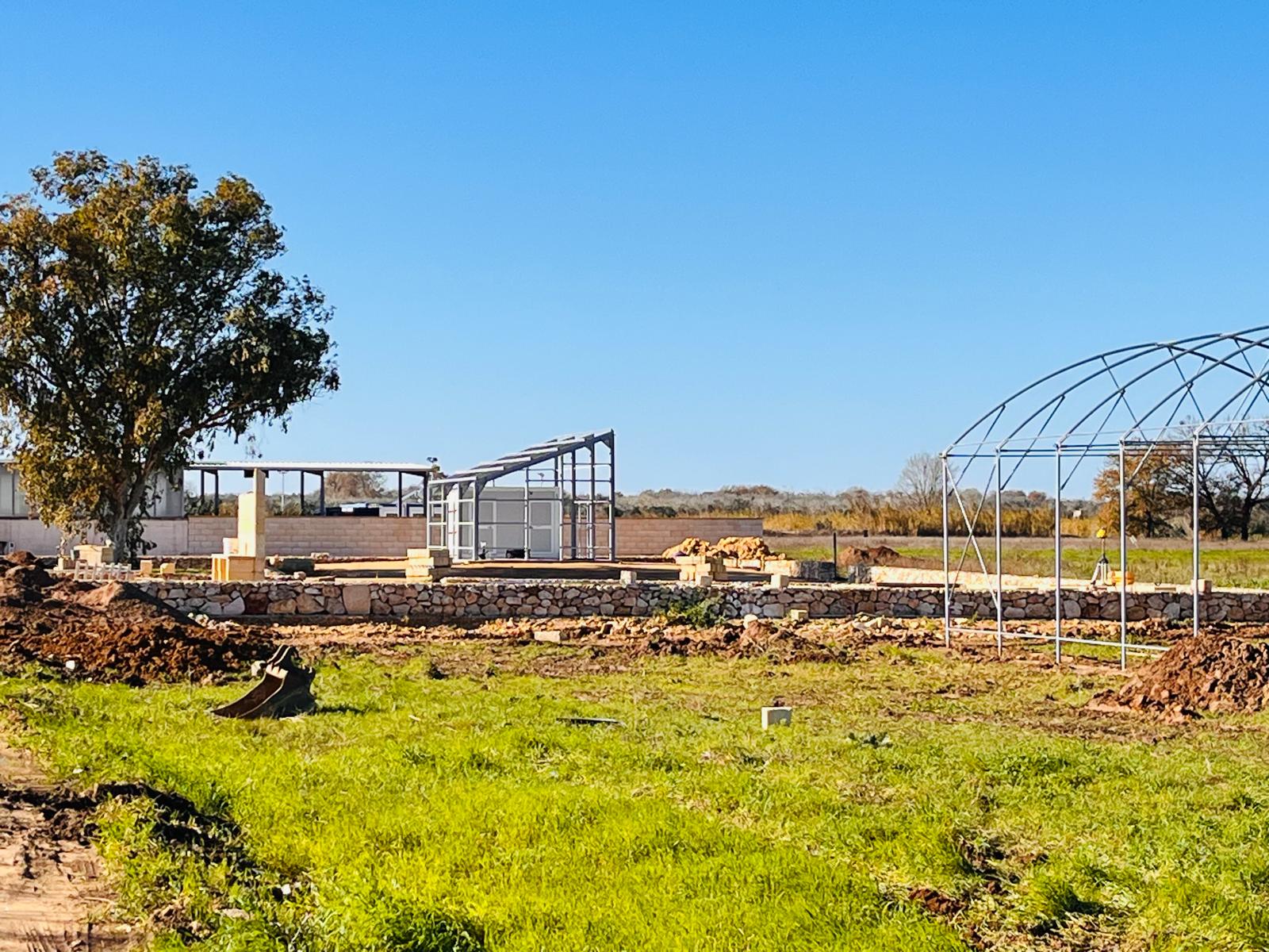 Terra pioniera- Montesano10