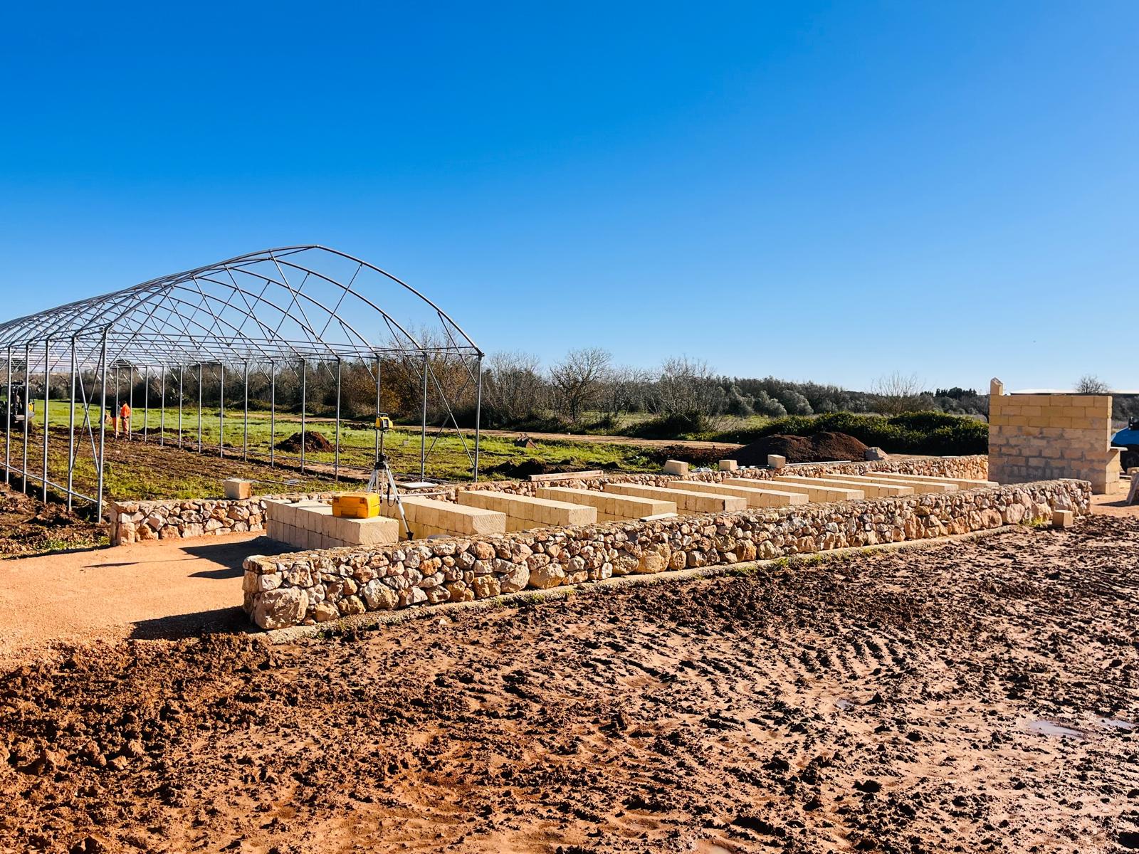 Terra pioniera- Montesano12