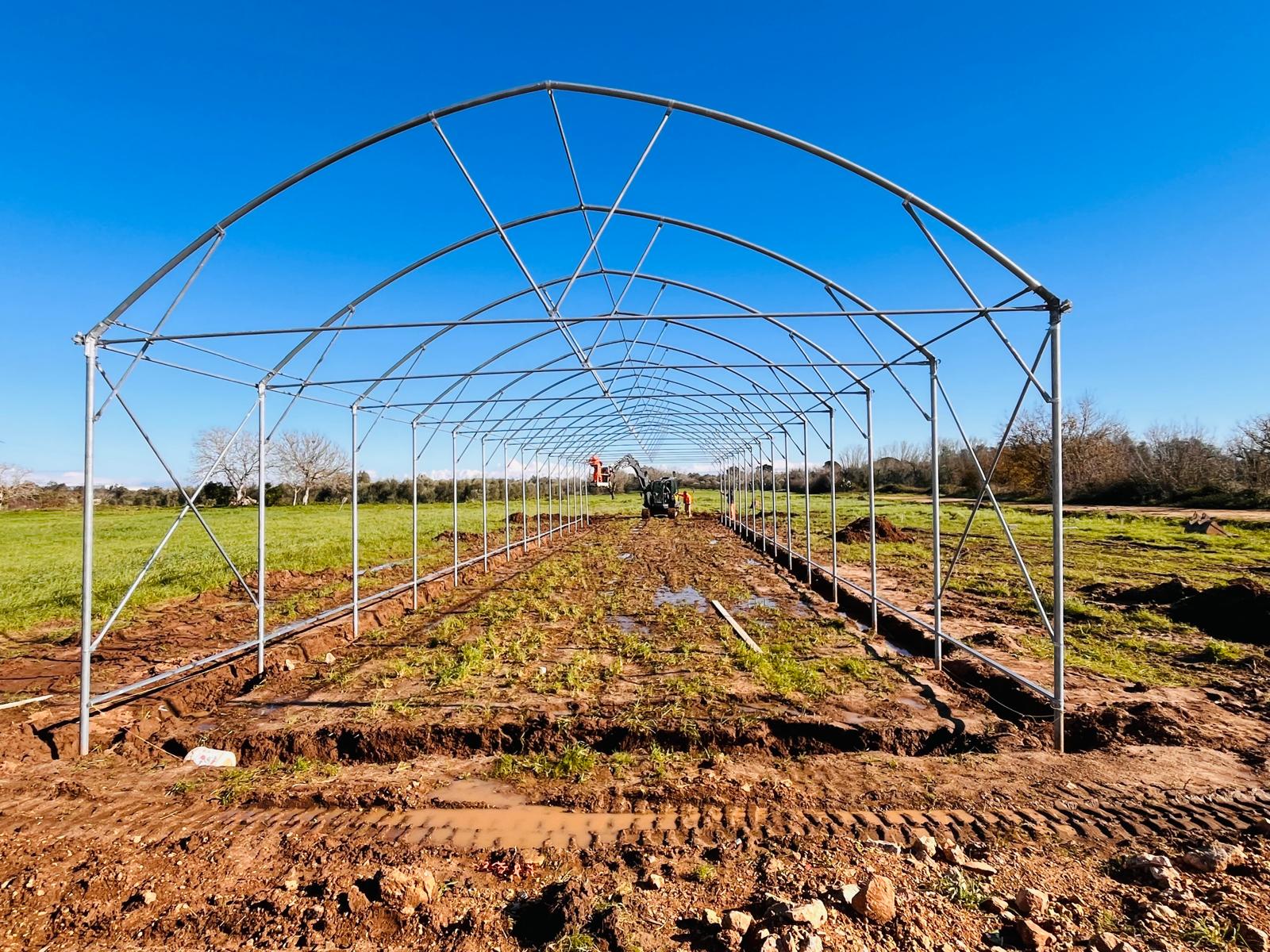 Terra pioniera- Montesano5