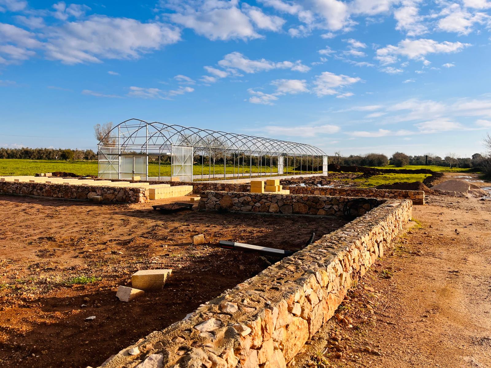 Terra Pioniera Montesano 08